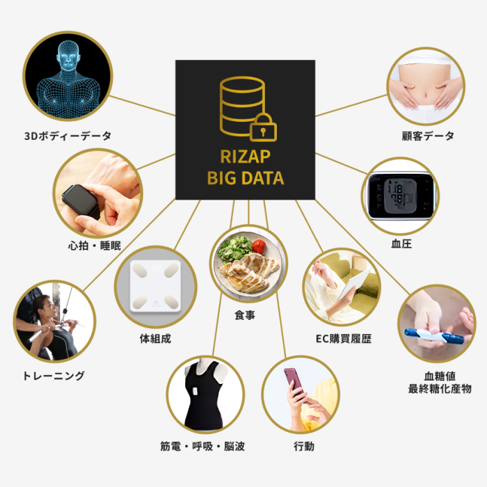 RIZAP BIG DATA|心拍・睡眠・体組成・トレーニング・食事などのデータ図